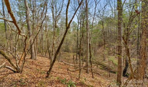 Photo #35 of Green, Lancaster, SC