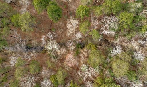 Photo #27 of Green, Lancaster, SC