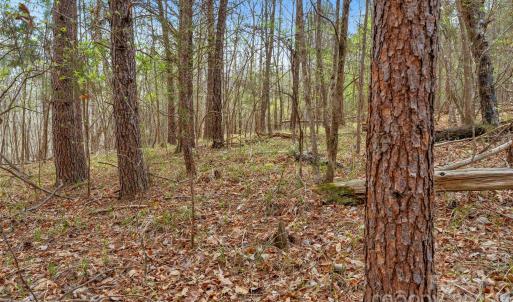 Photo #25 of Green, Lancaster, SC