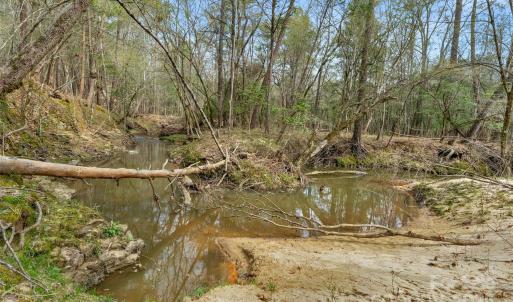 Photo #10 of Green, Lancaster, SC