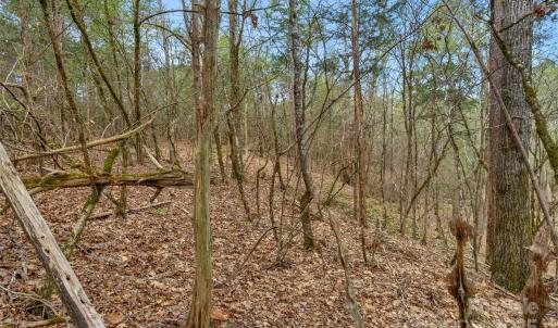 Photo #37 of Green, Lancaster, SC