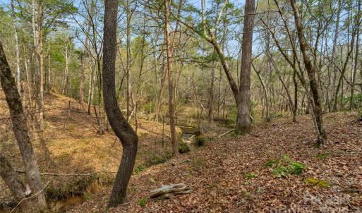 Photo #20 of Green, Lancaster, SC