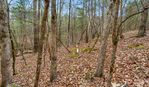 Photo #38 of Green, Lancaster, SC
