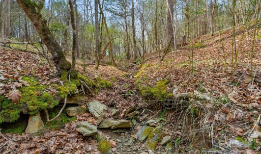 Photo #32 of Green, Lancaster, SC