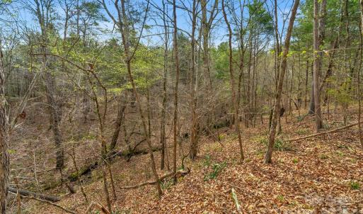 Photo #19 of Green, Lancaster, SC