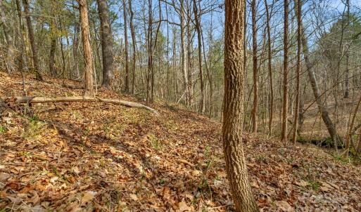 Photo #34 of Green, Lancaster, SC