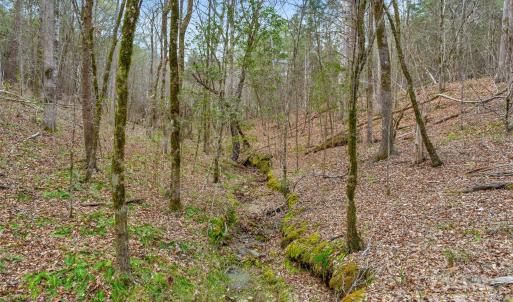 Photo #39 of Green, Lancaster, SC