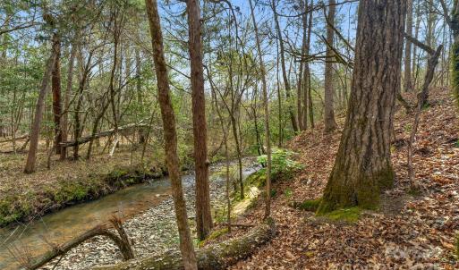 Photo #36 of Green, Lancaster, SC