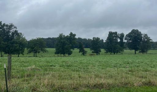 Photo #9 of Thanny Helms, Peachland, NC