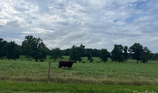 Photo #7 of Thanny Helms, Peachland, NC