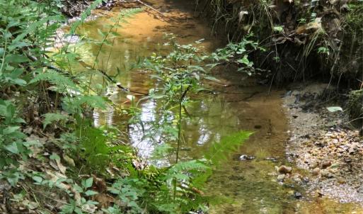 Photo #12 of Tart, Clover, SC
