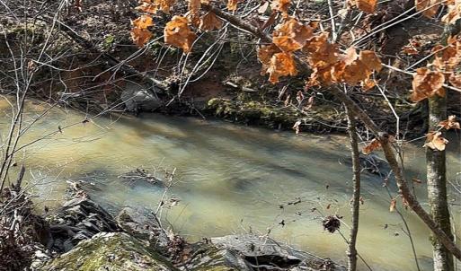 Photo #10 of Lot 10 Duck Creek Farms Duck Creek, Indian Trail, NC