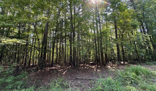 Photo #1 of Lot 10 Duck Creek Farms Duck Creek, Indian Trail, NC