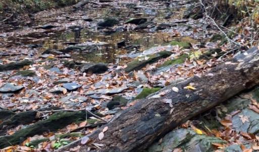 Photo #9 of Lot 10 Duck Creek Farms Duck Creek, Indian Trail, NC