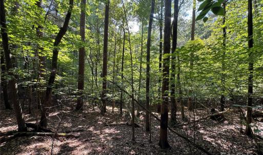 Photo #3 of Lot 10 Duck Creek Farms Duck Creek, Indian Trail, NC