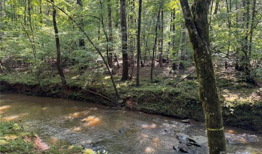 Photo #2 of Lot 10 Duck Creek Farms Duck Creek, Indian Trail, NC