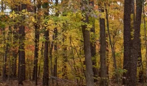 Photo #8 of Lot 10 Duck Creek Farms Duck Creek, Indian Trail, NC
