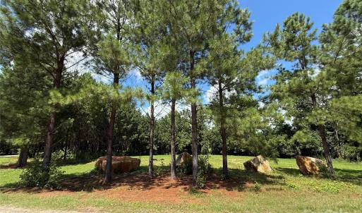 Photo #9 of 9304 Richardson King, Waxhaw, NC