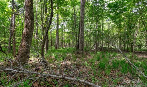 Photo #20 of Green, Lancaster, SC