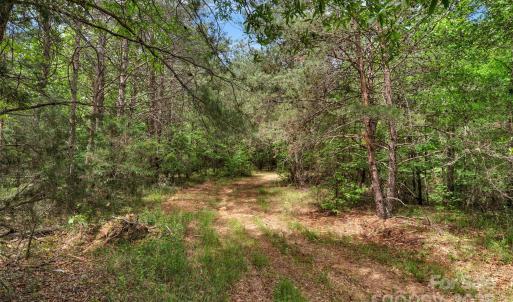 Photo #21 of Green, Lancaster, SC