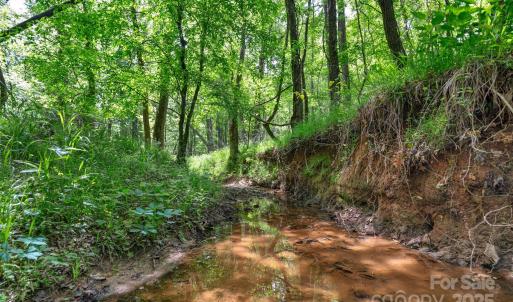 Photo #3 of Green, Lancaster, SC