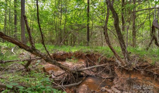 Photo #23 of Green, Lancaster, SC