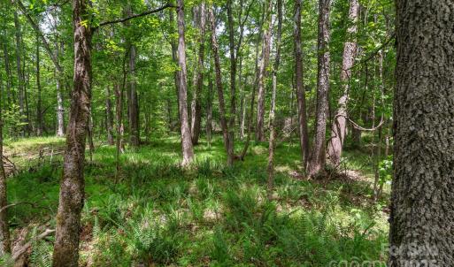 Photo #16 of Green, Lancaster, SC