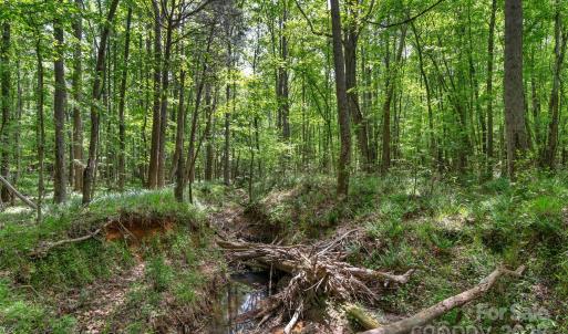 Photo #15 of Green, Lancaster, SC