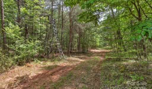 Photo #26 of Green, Lancaster, SC