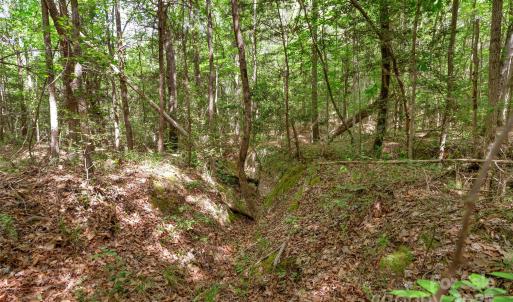 Photo #31 of Green, Lancaster, SC