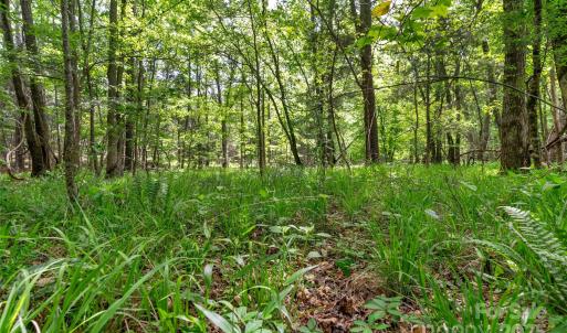 Photo #19 of Green, Lancaster, SC