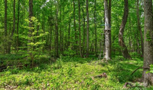 Photo #5 of Green, Lancaster, SC