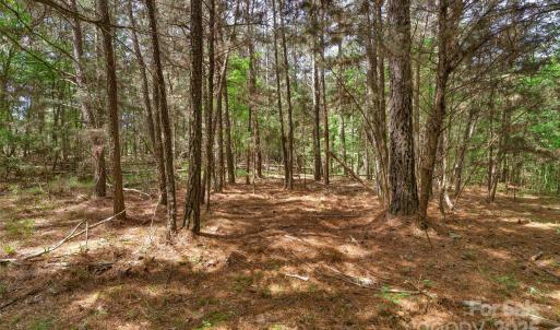 Photo #30 of Green, Lancaster, SC