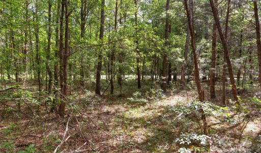 Photo #36 of Green, Lancaster, SC