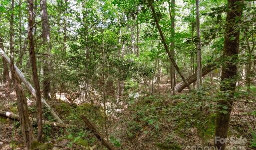 Photo #32 of Green, Lancaster, SC