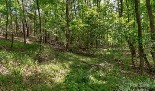 Photo #11 of Green, Lancaster, SC