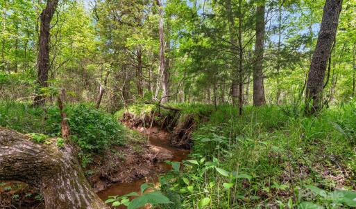 Photo #7 of Green, Lancaster, SC