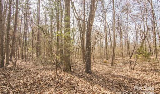 Photo #1 of Jim Wilson, Indian Land, SC