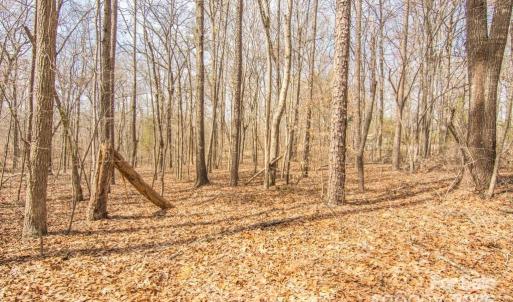 Photo #2 of Jim Wilson, Indian Land, SC