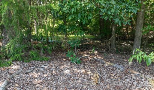 Photo #22 of Daystar, Lancaster, SC