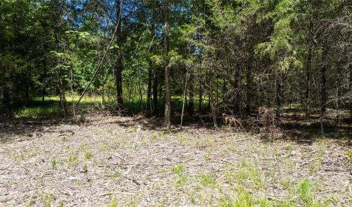 Photo #18 of Daystar, Lancaster, SC