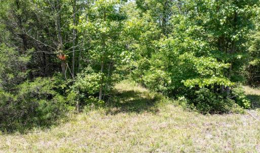 Photo #18 of Daystar, Lancaster, SC