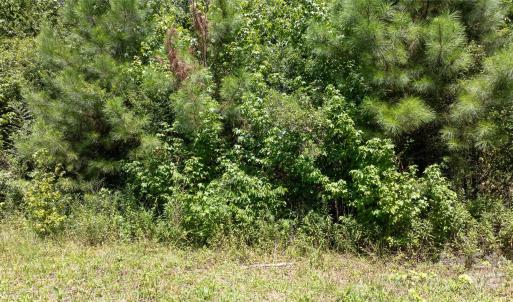 Photo #9 of Daystar, Lancaster, SC