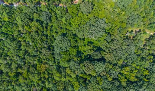 Photo #4 of Lot 2 Ratteree Farms, Rock Hill, SC