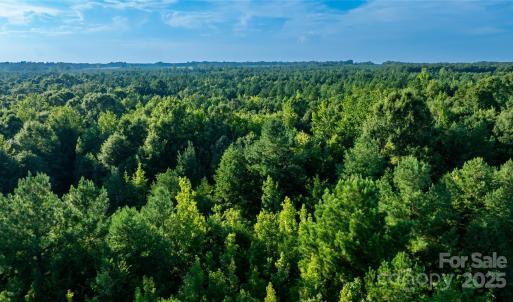 Photo #15 of Daystar, Lancaster, SC