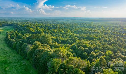 Photo #15 of Daystar, Lancaster, SC