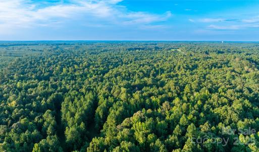 Photo #5 of Daystar, Lancaster, SC