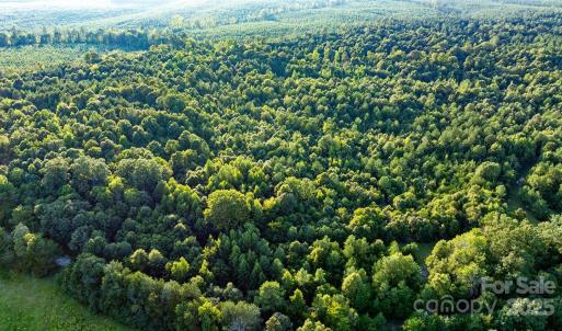 Photo #7 of Daystar, Lancaster, SC