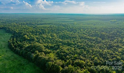 Photo #16 of Daystar, Lancaster, SC