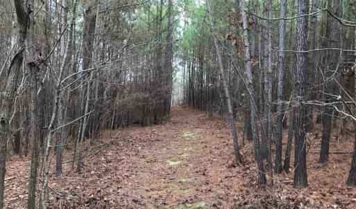 Photo #2 of 68 Lakeside, Lilesville, NC